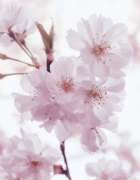 Standard Post With Sidebar