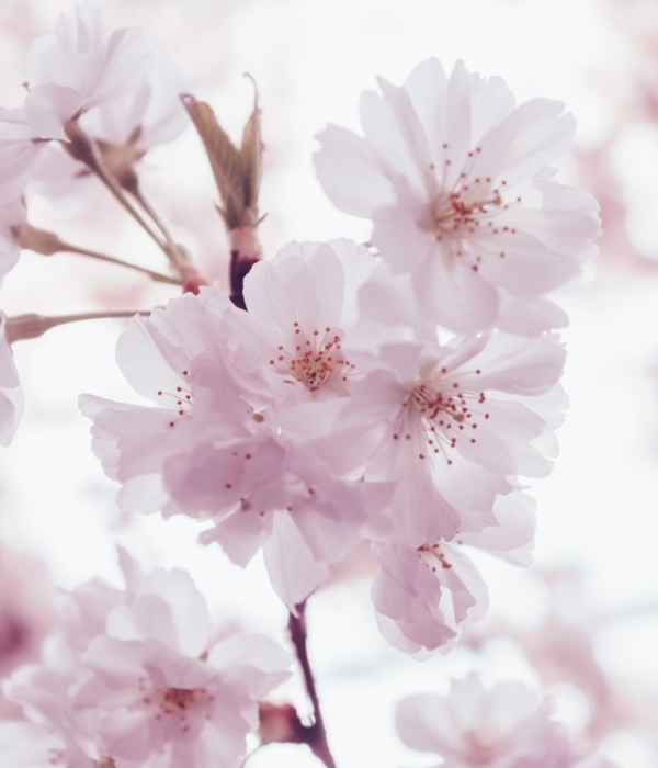 Standard Post With  Left Sidebar